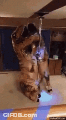 Man In Purple And Gray Uniform Says By Grabthar's Hammer We Live To Tell The Tale GIF