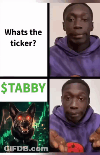 Man In Purple Hoodie With Red-Eyed Dog And Whats The Ticker $ Tabby GIF