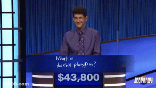 Man In Purple Shirt And Tie At Jeopardy Board GIF