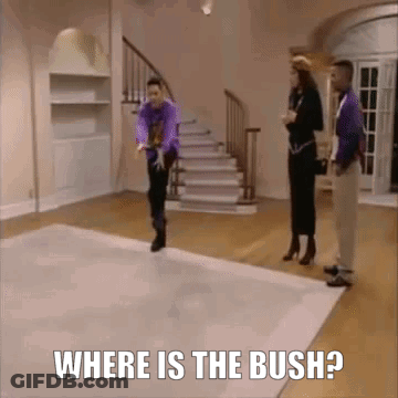 Man In Purple Shirt Jumping GIF