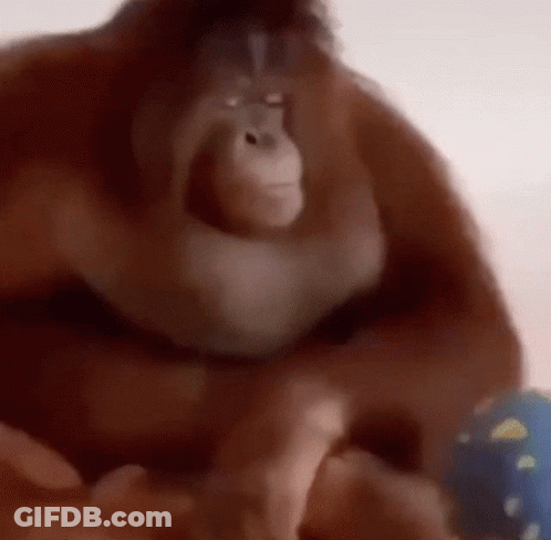 Man In Purple Shirt Saying Hello Everyone GIF