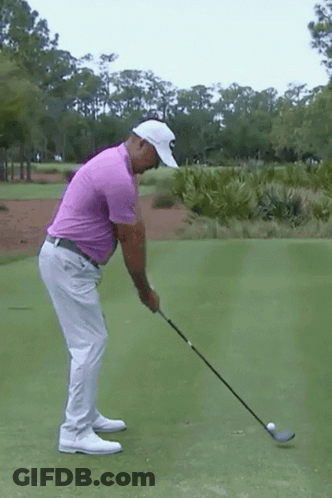 Man In Purple Shirt Swinging Golf GIF