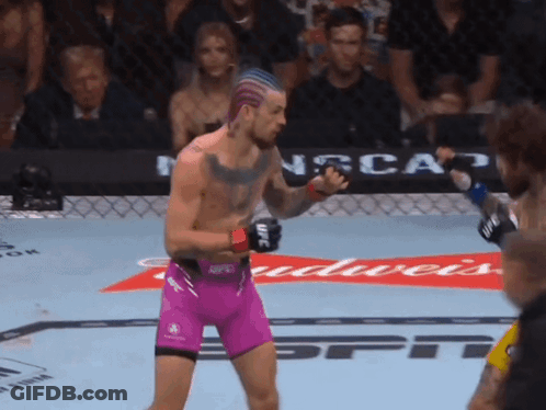 Man In Purple Shorts In Boxing Ring With Budweiser Ad GIF