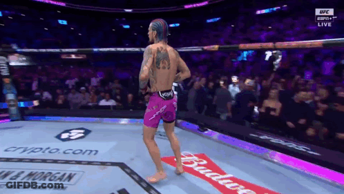Man In Purple Shorts In Boxing Ring With Budweiser Banner GIF