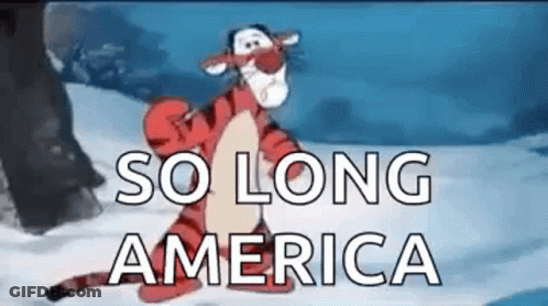 Man In Pyeongchang 2018 Shirt Holding American Flag GIF