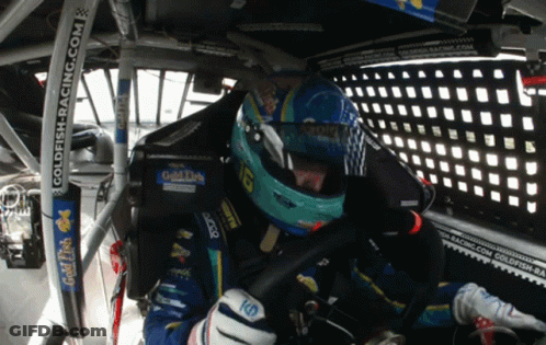 Man In Race Car With Goldfish Racing Sticker GIF