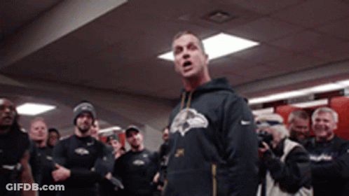 Man In Ravens Sweatshirt In Front Of Crowd GIF
