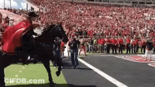 Man In Red Cape Riding Horse On Football Field GIF