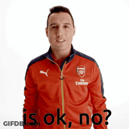 Man In Red Fly Emirates Jacket GIF