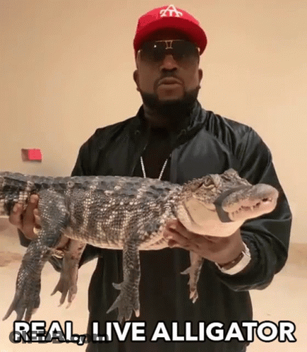 Man In Red Hat Holding Alligator Saying Real Live Alligator GIF