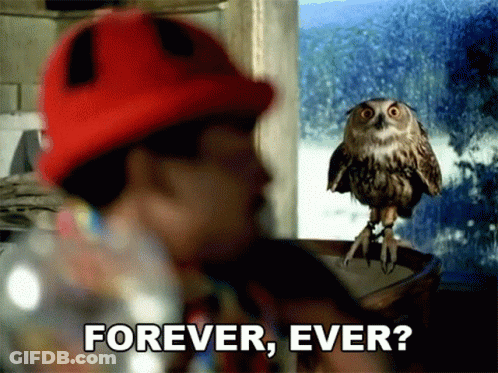 Man In Red Hat Next To Owl With Forever Ever GIF
