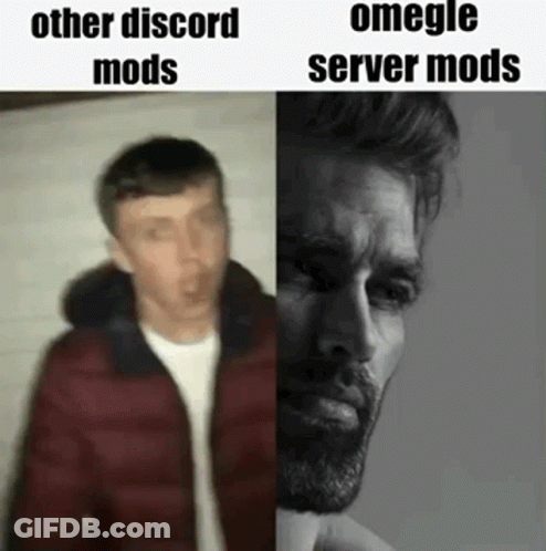 Man In Red Jacket And Bearded Man Meme GIF