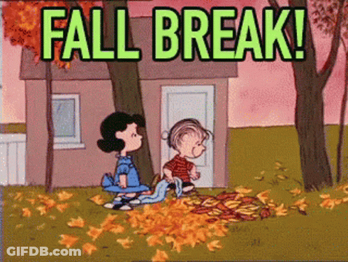 Man In Red Jacket Dancing Happy Dancing GIF