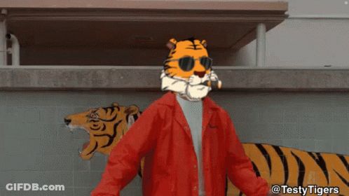 Man In Red Jacket With Tiger Head GIF