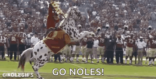 Man In Red NC State Jersey Pointing Up GIF