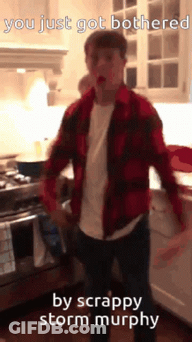 Man In Red Plaid Shirt Saying You Just Got Bothered GIF