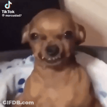 Man In Red Robe Flexing Muscles GIF