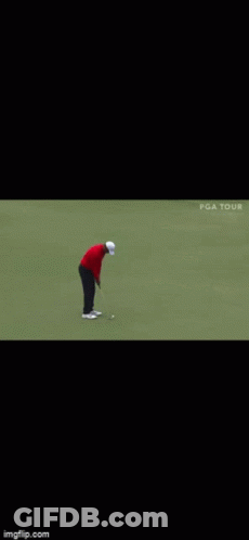 Man In Red Shirt Holding Golf Club Next To Another Man GIF