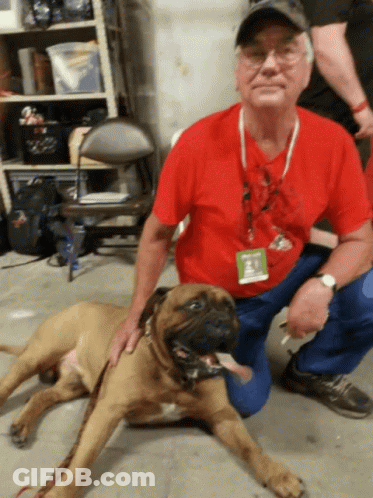 Man In Red Shirt Kneeling Next To Dog GIF