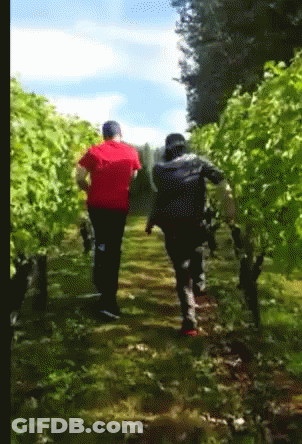 Man In Red Shirt Walking Down Path GIF