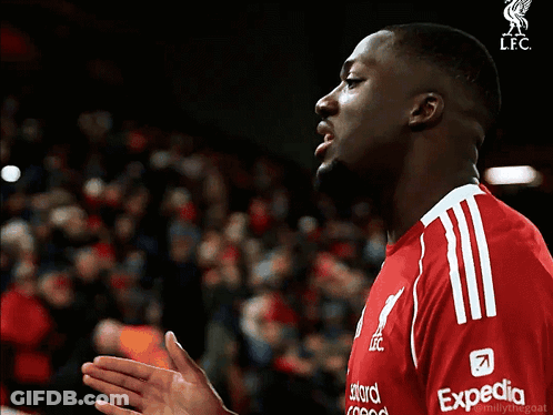 Man In Red Shirt With Expedia GIF