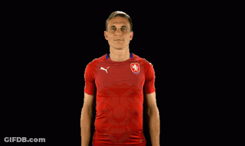 Man In Red Shirt With Lion Giving Thumbs Up GIF