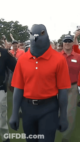 Man In Red Shirt With Pigeon On Head GIF