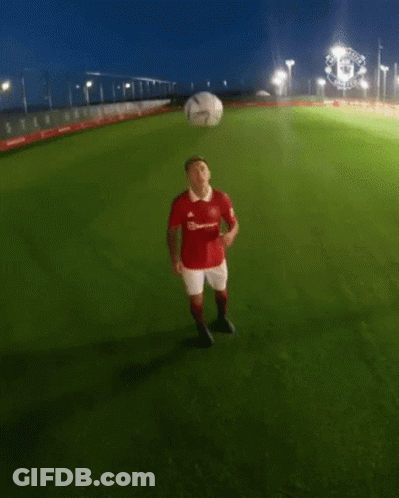 Man In Red Shirt With TeamViewer GIF