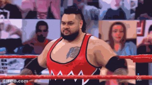 Man In Red Tank Top With Canada In Wrestling Ring GIF