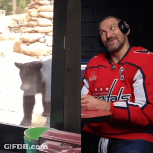 Man In Red Washington Capitals Jersey GIF