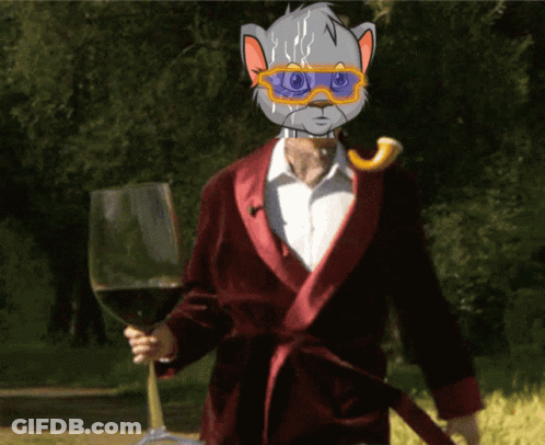 Man In Robe Holding Wine Glass GIF