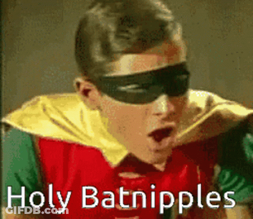 Man In Robin Costume Says Holy Batnips GIF