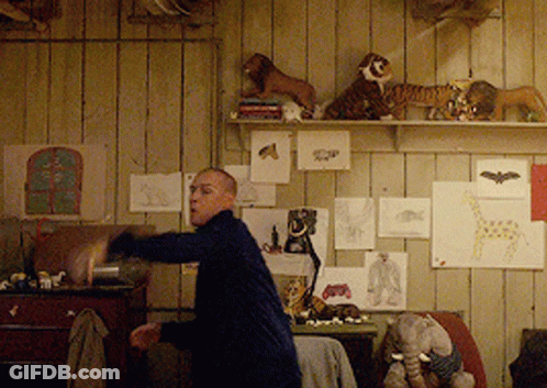 Man In Room With Stuffed Animals GIF