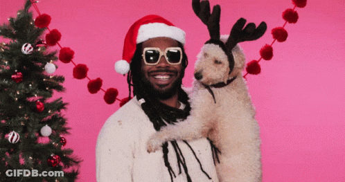 Man In Santa Hat And Sunglasses Holding Dog With Antlers GIF
