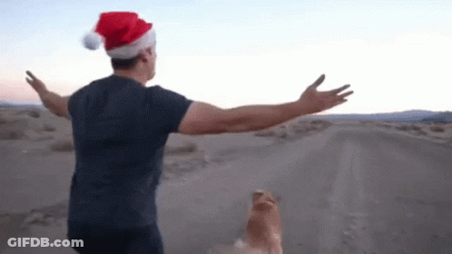 Man In Santa Hat Walking Dog GIF