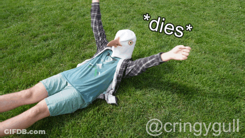 Man In Seagull Mask Lying In Grass Dies GIF