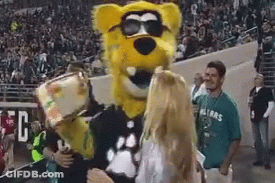 Man In Seahawks Shirt Next To Mascot GIF