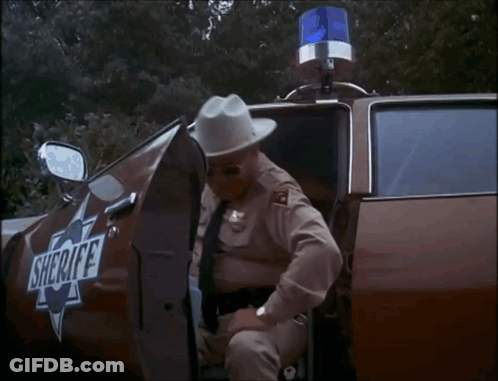 Man In Sheriff Uniform Next To Car GIF