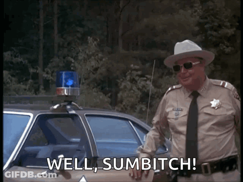 Man In Sheriff Uniform Saying Well Sumbitch GIF