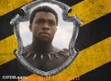 Man In Shield Hufflepuff Forever GIF