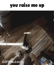 Man In Silver Jacket Saying I Love This Song GIF