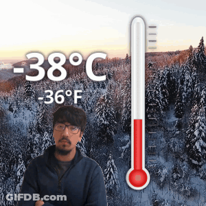 Man In Snowy Forest With -38°C Thermometer GIF
