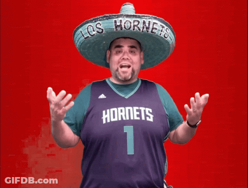 Man In Sombrero And Hornets Jersey GIF