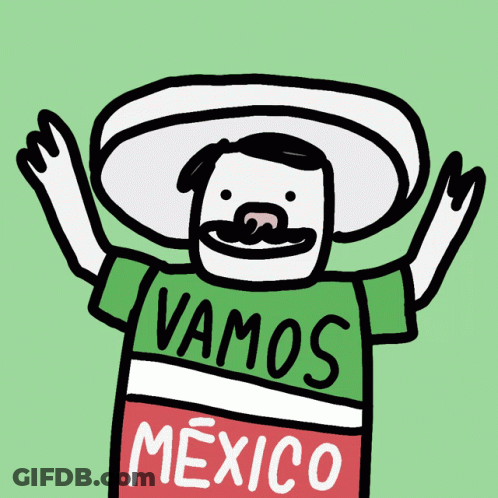 Man In Sombrero And Vamos Mexico Shirt GIF