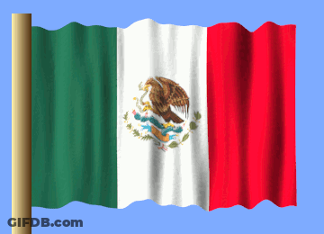 Man In Sombrero Holding Flag Saying Maru GIF