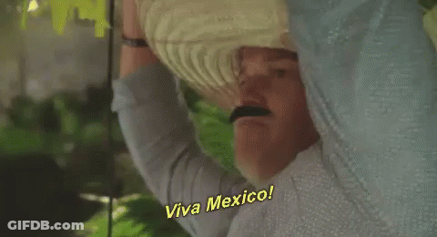 Man In Sombrero Saying Viva Mexico GIF