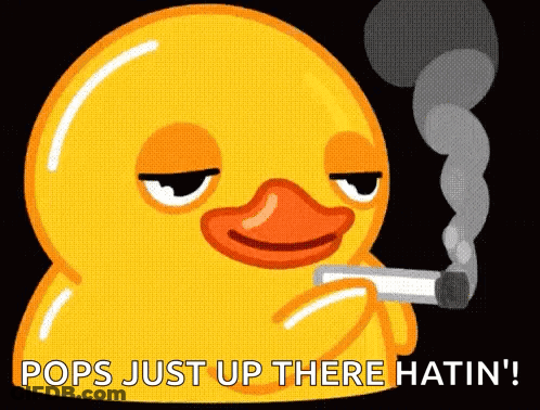 Man In Sombrero With Mustache Holding Maracas GIF