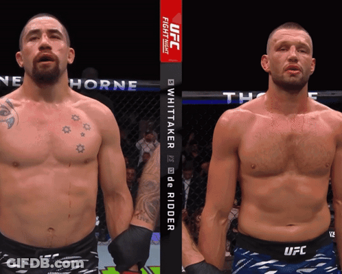 Man In SpongeBob SquarePants Costume GIF