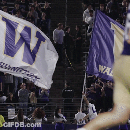 Man In Staff Uniform Holding Washington Flag GIF