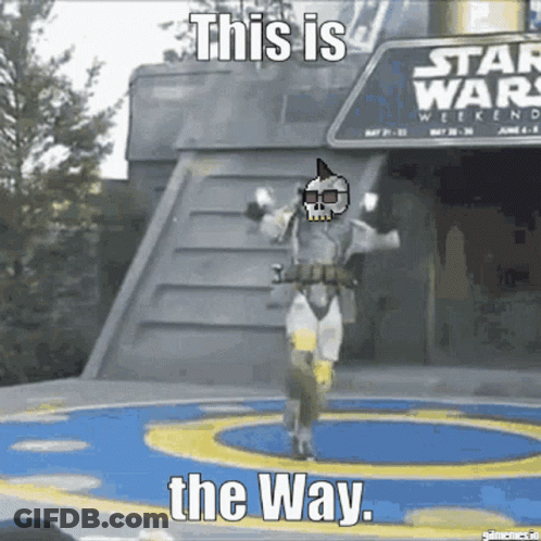 Man In Star Wars Costume Dancing GIF